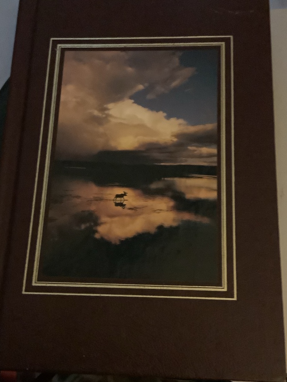Visions Of Wild America National Geographic